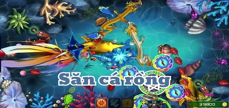 Bí Kíp Chơi Bắn Cá Rồng Tại Hitclub Săn Boss Khủng Thắng Lớn