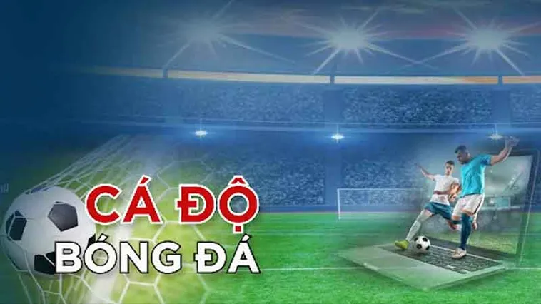Bật Mí Cách Cá Cược Bóng Đá Hitclub Chắc Thắng Cho Người Mới